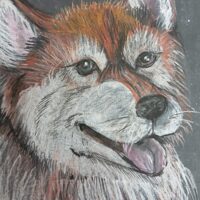 Побокина Дарья 11 лет. Мой друг