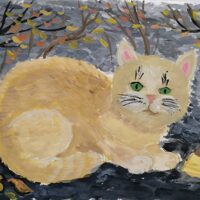 Павлухина Виктория 13 лет Покормите бездомных кошек